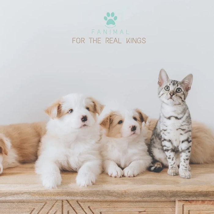 Kit 5 em 1 de limpeza para Cães e Gatos, com Champô, Luva, Escova de dupla face, Lima e Corta - unhas - PetDoctors - Loja Online