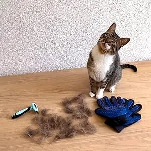 Kit de Escovagem e Higiene para o Pêlo de Cães e Gatos - PetDoctors - Loja Online