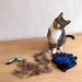 Kit de Escovagem e Higiene para o Pêlo de Cães e Gatos - PetDoctors - Loja Online