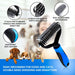 Kit de Escovagem e Higiene para o Pêlo de Cães e Gatos - PetDoctors - Loja Online