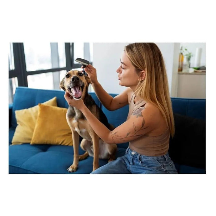 Kit de Escovagem e Higiene para o Pêlo de Cães e Gatos - PetDoctors - Loja Online