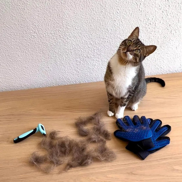 Kit de Escovagem e Higiene para o Pêlo de Cães e Gatos - PetDoctors - Loja Online