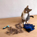 Kit de Escovagem e Higiene para o Pêlo de Cães e Gatos - PetDoctors - Loja Online