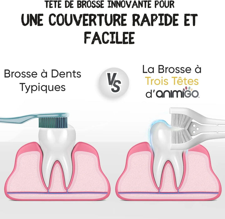 Kit Pasta Dentífrica para Cães 2x100 gramas Sabor a Menta + Escova de dentes 3 cabeças + 1 Dedeira - Anti Tártaro, Anti Mau Hálito - Cuidado orail para cães - PetDoctors - Loja Online