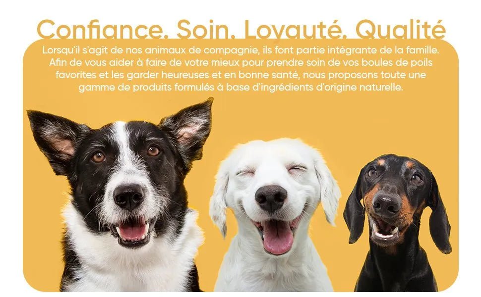 Kit Pasta Dentífrica para Cães 2x100 gramas Sabor a Menta + Escova de dentes 3 cabeças + 1 Dedeira - Anti Tártaro, Anti Mau Hálito - Cuidado orail para cães - PetDoctors - Loja Online