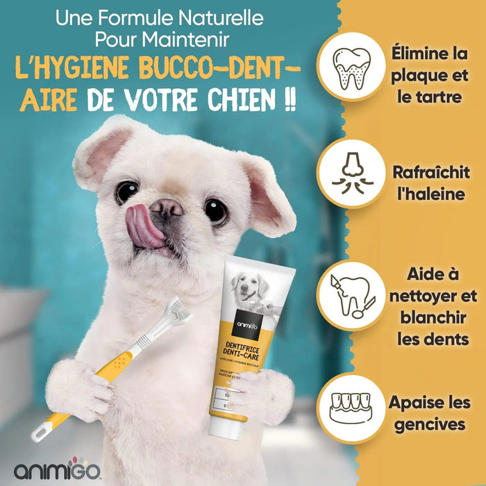 Kit Pasta Dentífrica para Cães 2x100 gramas Sabor a Menta + Escova de dentes 3 cabeças + 1 Dedeira - Anti Tártaro, Anti Mau Hálito - Cuidado orail para cães - PetDoctors - Loja Online