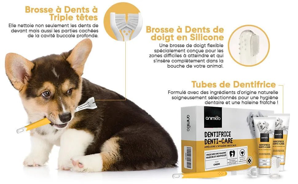 Kit Pasta Dentífrica para Cães 2x100 gramas Sabor a Menta + Escova de dentes 3 cabeças + 1 Dedeira - Anti Tártaro, Anti Mau Hálito - Cuidado orail para cães - PetDoctors - Loja Online