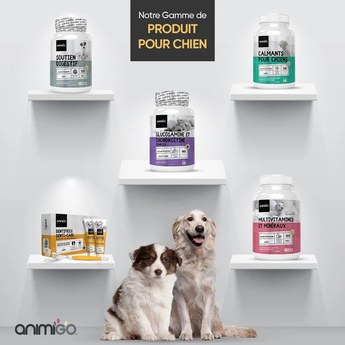 Kit Pasta Dentífrica para Cães 2x100 gramas Sabor a Menta + Escova de dentes 3 cabeças + 1 Dedeira - Anti Tártaro, Anti Mau Hálito - Cuidado orail para cães - PetDoctors - Loja Online