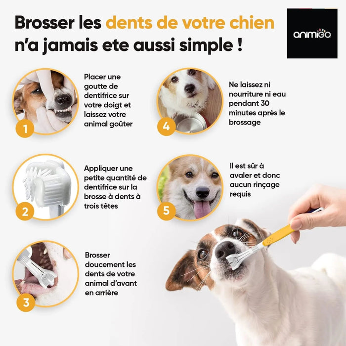 Kit Pasta Dentífrica para Cães 2x100 gramas Sabor a Menta + Escova de dentes 3 cabeças + 1 Dedeira - Anti Tártaro, Anti Mau Hálito - Cuidado orail para cães - PetDoctors - Loja Online
