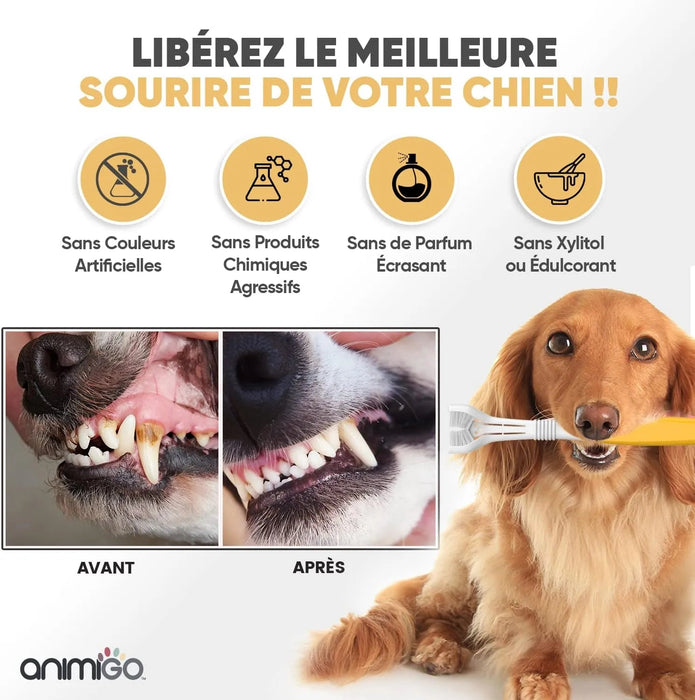 Kit Pasta Dentífrica para Cães 2x100 gramas Sabor a Menta + Escova de dentes 3 cabeças + 1 Dedeira - Anti Tártaro, Anti Mau Hálito - Cuidado orail para cães - PetDoctors - Loja Online