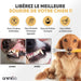 Kit Pasta Dentífrica para Cães 2x100 gramas Sabor a Menta + Escova de dentes 3 cabeças + 1 Dedeira - Anti Tártaro, Anti Mau Hálito - Cuidado orail para cães - PetDoctors - Loja Online