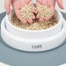 Kit Recarga Germinador para Vaso Erva Gateira (3 Unidades) - PetDoctors - Loja Online