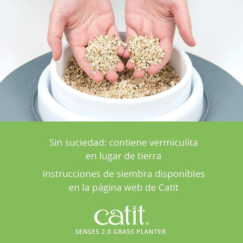 Kit Recarga Germinador para Vaso Erva Gateira (3 Unidades) - PetDoctors - Loja Online
