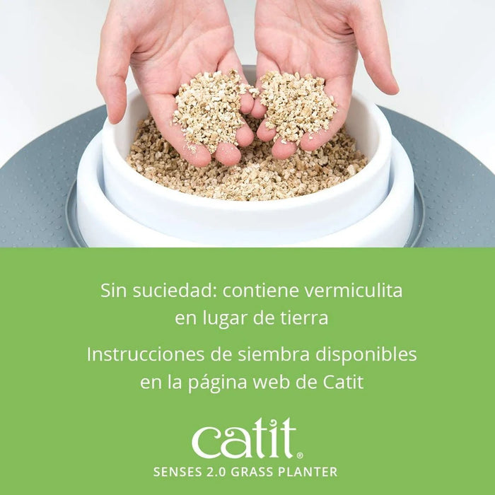 Kit Recarga Germinador para Vaso Erva Gateira (3 Unidades) - PetDoctors - Loja Online