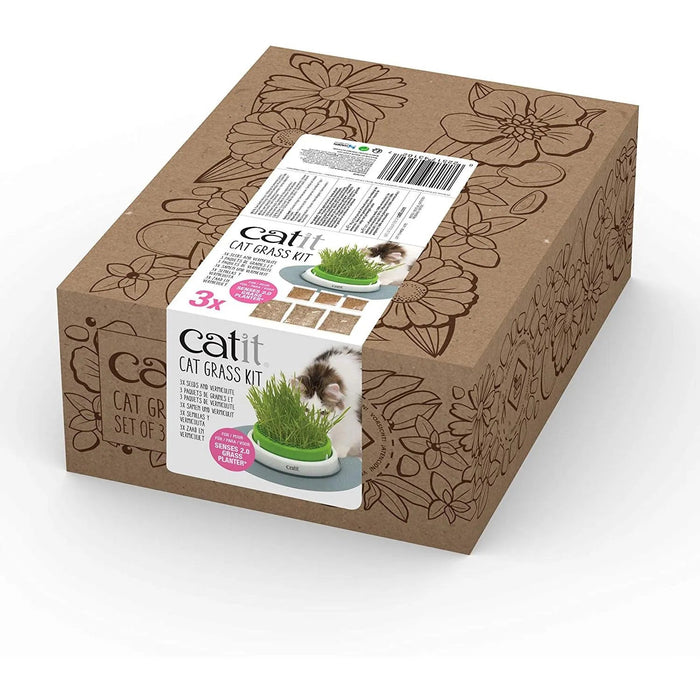 Kit Recarga Germinador para Vaso Erva Gateira (3 Unidades) - PetDoctors - Loja Online
