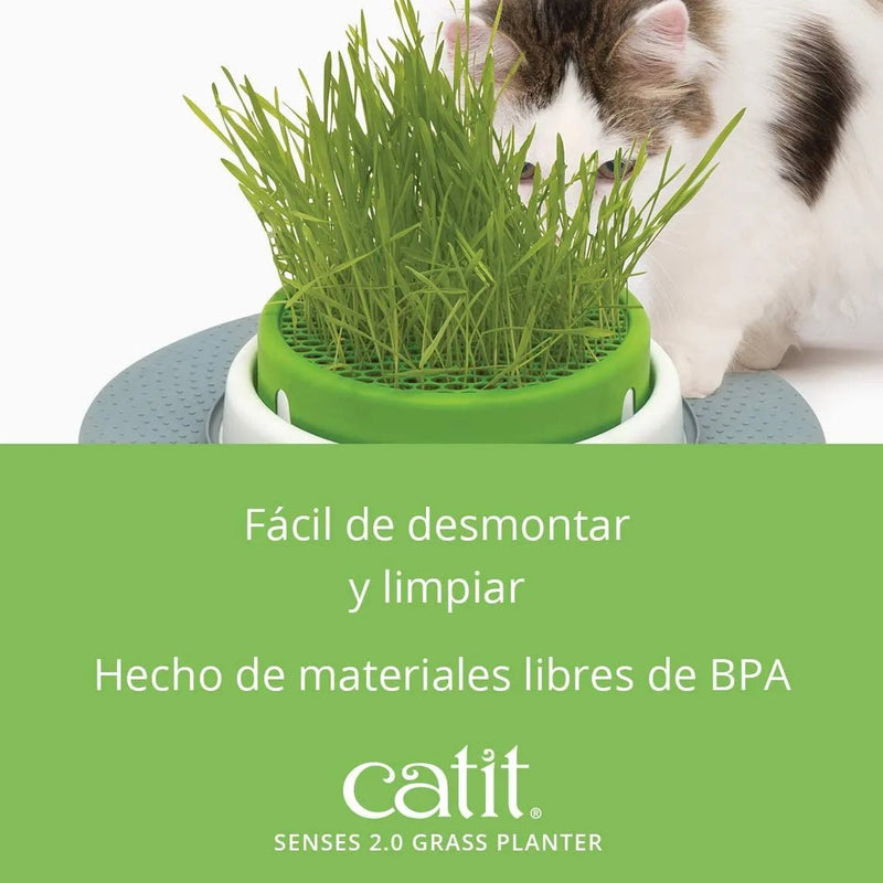 Kit Recarga Germinador para Vaso Erva Gateira (3 Unidades) - PetDoctors - Loja Online