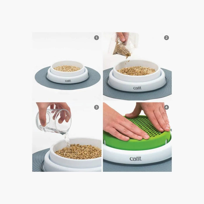Kit Recarga Germinador para Vaso Erva Gateira (3 Unidades) - PetDoctors - Loja Online