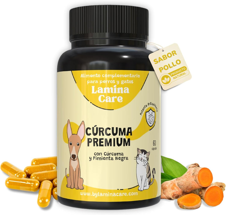 Lamina Care - Anti - inflamatório para cães natural - com açafrão e piperina, condroprotetor de ação antioxidante com vitaminas que ajudam o sistema digestivo (60 cápsulas) - PetDoctors - Loja Online