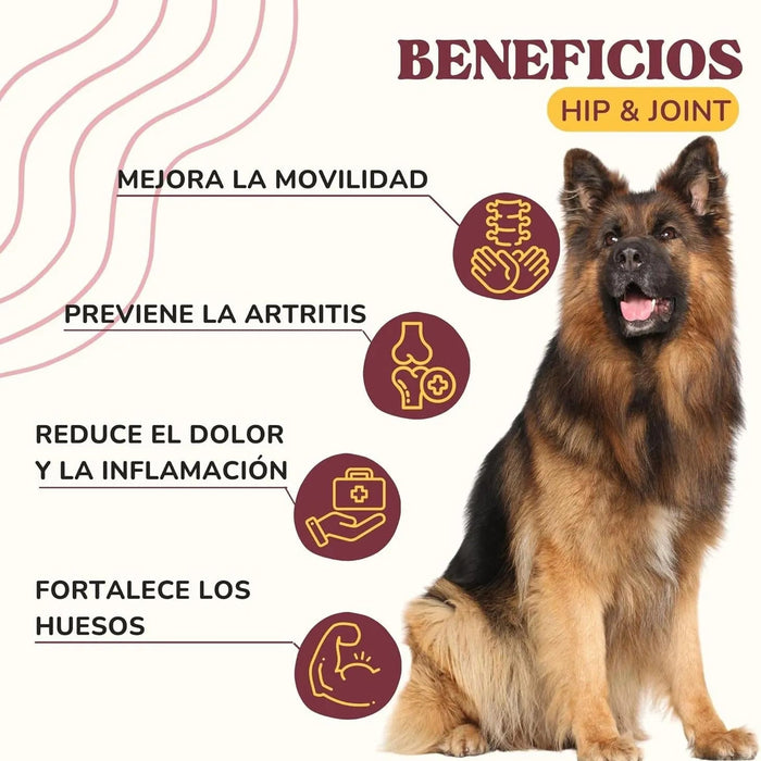 Lamina Care - Condroprotetor cães e gatos para fortalecer as articulações e a anca com glucosamina, colageno para cães, condritiona e mexillon lábios verdes, anti - inflamatório cães e gatos - PetDoctors - Loja Online