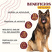 Lamina Care - Condroprotetor cães e gatos para fortalecer as articulações e a anca com glucosamina, colageno para cães, condritiona e mexillon lábios verdes, anti - inflamatório cães e gatos - PetDoctors - Loja Online