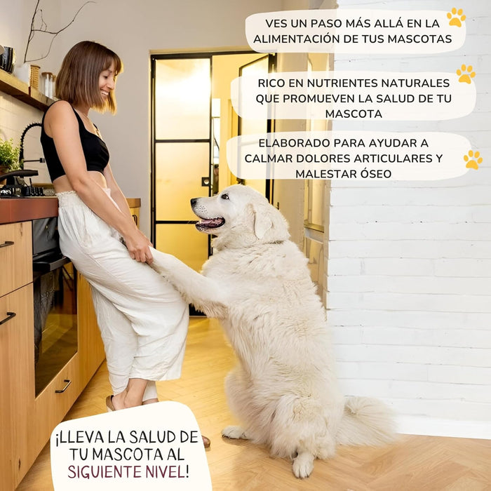 Lamina Care - Condroprotetor cães e gatos para fortalecer as articulações e a anca com glucosamina, colageno para cães, condritiona e mexillon lábios verdes, anti - inflamatório cães e gatos - PetDoctors - Loja Online