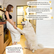Lamina Care - Condroprotetor cães e gatos para fortalecer as articulações e a anca com glucosamina, colageno para cães, condritiona e mexillon lábios verdes, anti - inflamatório cães e gatos - PetDoctors - Loja Online