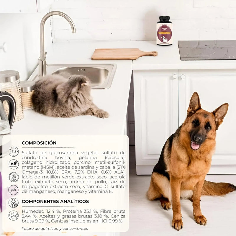 Lamina Care - Condroprotetor cães e gatos para fortalecer as articulações e a anca com glucosamina, colageno para cães, condritiona e mexillon lábios verdes, anti - inflamatório cães e gatos - PetDoctors - Loja Online