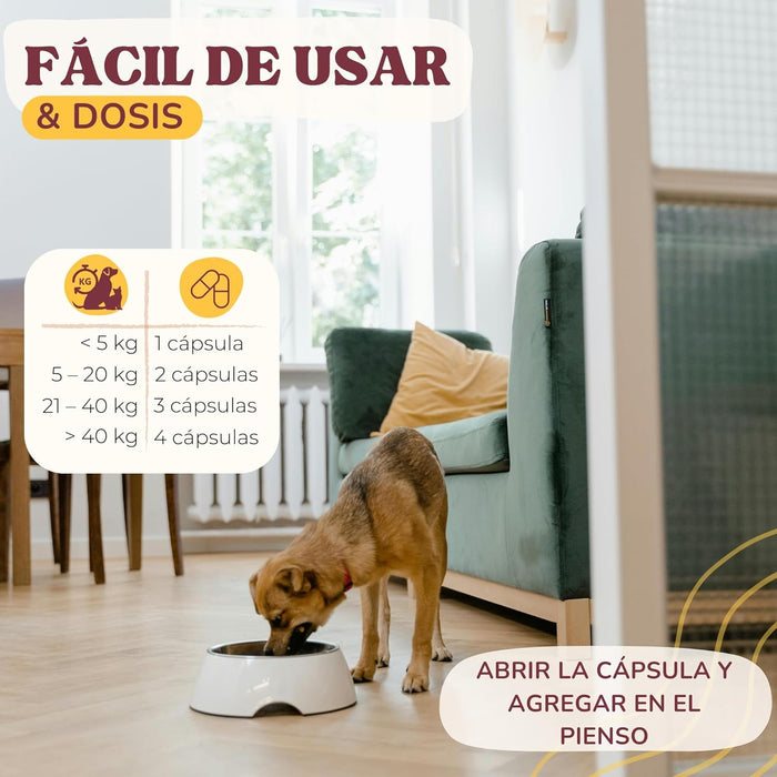 Lamina Care - Condroprotetor cães e gatos para fortalecer as articulações e a anca com glucosamina, colageno para cães, condritiona e mexillon lábios verdes, anti - inflamatório cães e gatos - PetDoctors - Loja Online