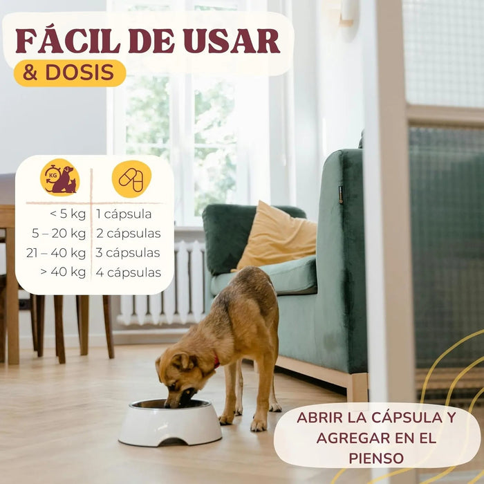 Lamina Care - Condroprotetor cães e gatos para fortalecer as articulações e a anca com glucosamina, colageno para cães, condritiona e mexillon lábios verdes, anti - inflamatório cães e gatos - PetDoctors - Loja Online