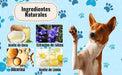 Limpador a seco, para patas e almofadas de patas de cães, escova com espuma de lavagem a seco, sem necessidade de água, elimina sujidade e bactérias, ecológico - PetDoctors - Loja Online