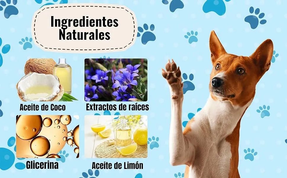 Limpador a seco, para patas e almofadas de patas de cães, escova com espuma de lavagem a seco, sem necessidade de água, elimina sujidade e bactérias, ecológico - PetDoctors - Loja Online