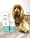 Limpador de orelhas para cães e gatos, óleo de côco e aloé vera (240 ml) - PetDoctors - Loja Online