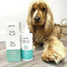 Limpador de orelhas para cães e gatos, óleo de côco e aloé vera (240 ml) - PetDoctors - Loja Online