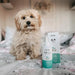 Limpador de orelhas para cães e gatos, óleo de côco e aloé vera (240 ml) - PetDoctors - Loja Online