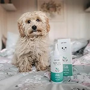 Limpador de orelhas para cães e gatos, óleo de côco e aloé vera (240 ml) - PetDoctors - Loja Online