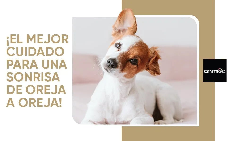Limpador de ouvidos para cães e gatos (250 ml em gotas) - natural, com aloé vera e lavanda, sem álcool - PetDoctors - Loja Online
