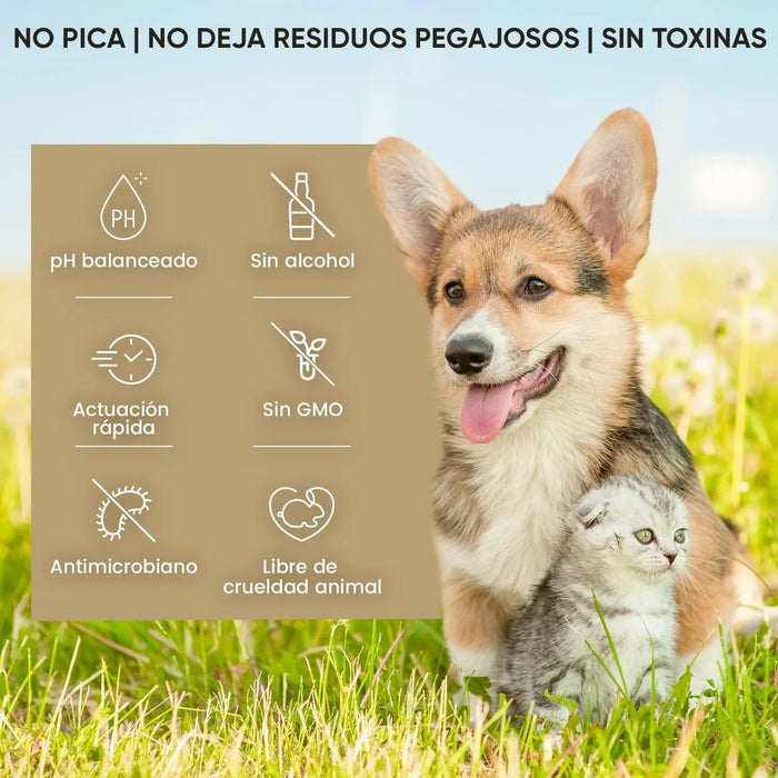 Limpador de ouvidos para cães e gatos (250 ml em gotas) - natural, com aloé vera e lavanda, sem álcool - PetDoctors - Loja Online