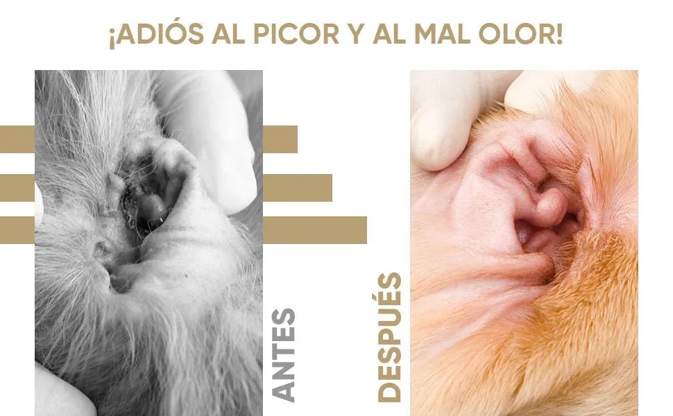 Limpador de ouvidos para cães e gatos (250 ml em gotas) - natural, com aloé vera e lavanda, sem álcool - PetDoctors - Loja Online