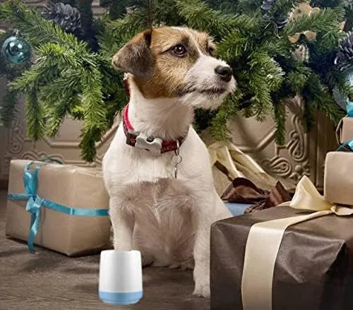 Limpador manual de patas para cão pequeno, com oferta de escova de dentes e toalha - PetDoctors - Loja Online