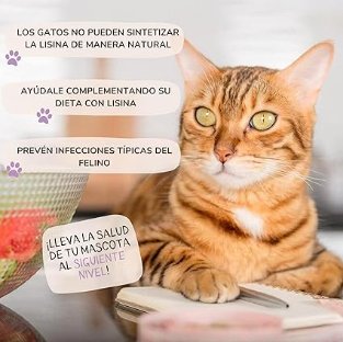 Lisina para gatos 100% natural para o sistema imunitário, de sabor agradável e fácil de adicionar à dieta diária (Lamina Care) - PetDoctors - Loja Online