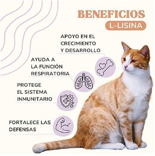 Lisina para gatos 100% natural para o sistema imunitário, de sabor agradável e fácil de adicionar à dieta diária (Lamina Care) - PetDoctors - Loja Online