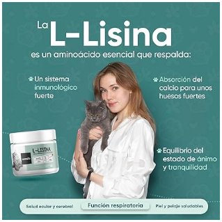 Lisina para gatos, em pó, com colher, para o sistema imunitário, defesas naturais e função respiratória - suplemento natural de minoácidos essenciais para todas as raças, sem glúten (250 gramas) - PetDoctors - Loja Online