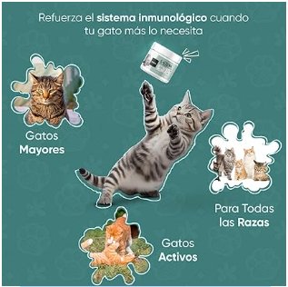 Lisina para gatos, em pó, com colher, para o sistema imunitário, defesas naturais e função respiratória - suplemento natural de minoácidos essenciais para todas as raças, sem glúten (250 gramas) - PetDoctors - Loja Online