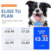 Localizador GPS 4G para Cães e Gatos | Localização em tempo real - PetDoctors - Loja Online