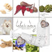 Lulu's Way Champô natural para cães com condicionador - para pele sensível e dermatite sem alérgenos, sem parabenos - 100 % vegan natural - PetDoctors - Loja Online