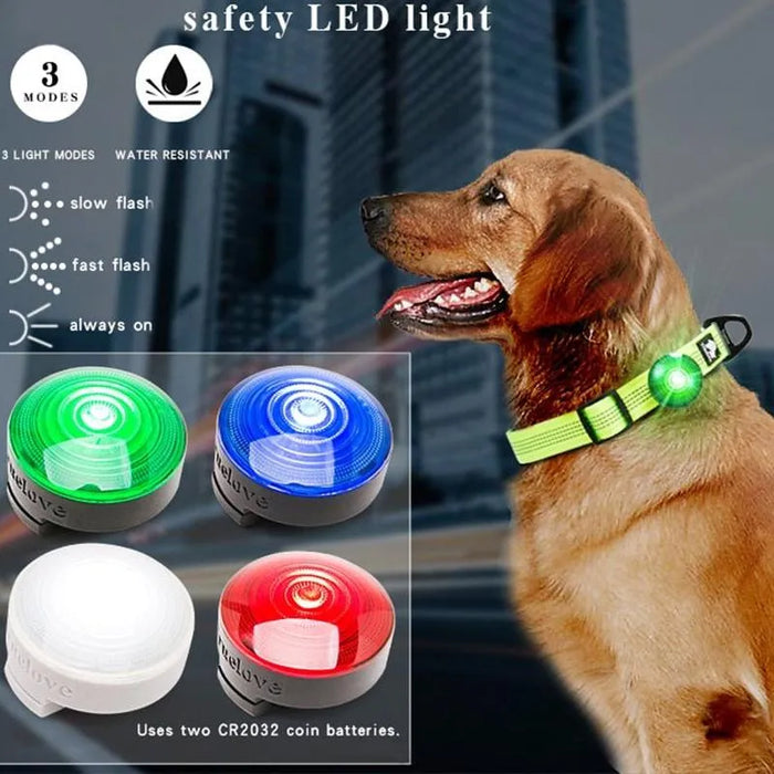 Luz LED de Segurança para Coleiras (Impermeável) - PetDoctors - Loja Online