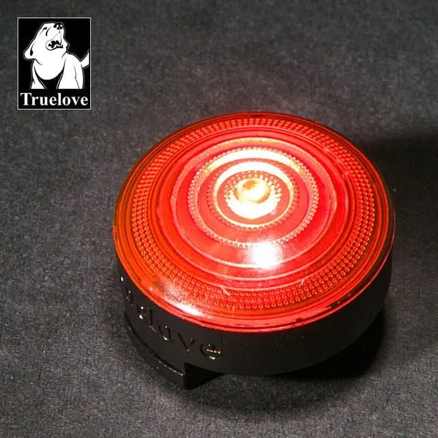Luz LED de Segurança para Coleiras (Impermeável) - PetDoctors - Loja Online