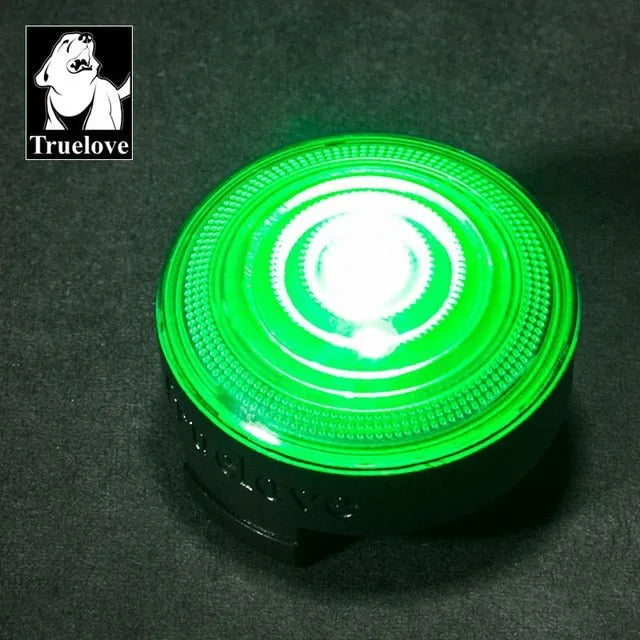 Luz LED de Segurança para Coleiras (Impermeável) - PetDoctors - Loja Online