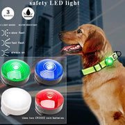 Luz LED de Segurança para Coleiras (Impermeável) - PetDoctors - Loja Online
