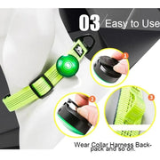 Luz LED de Segurança para Coleiras (Impermeável) - PetDoctors - Loja Online